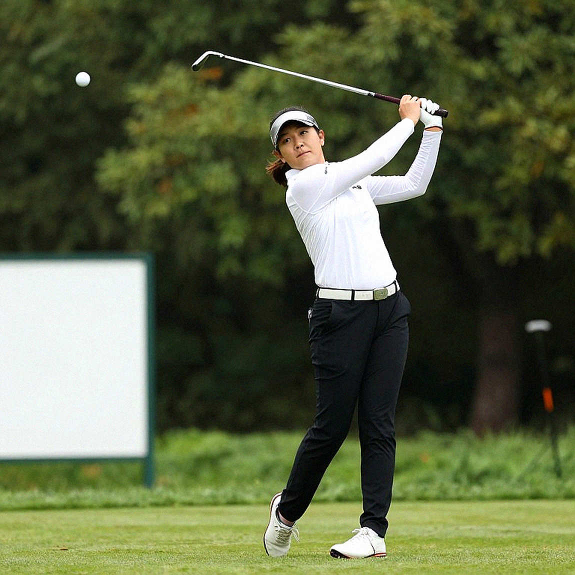 Đường ống dữ liệu rỗng và cái bẫy của phân tích golf hiện đại