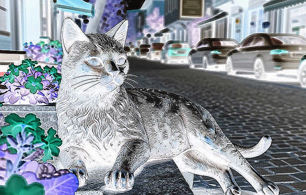 Saigon Phantom bất bại tại VMC Fall 2026: Khoảng cách nội bộ MLBB Việt Nam đang rộng ra