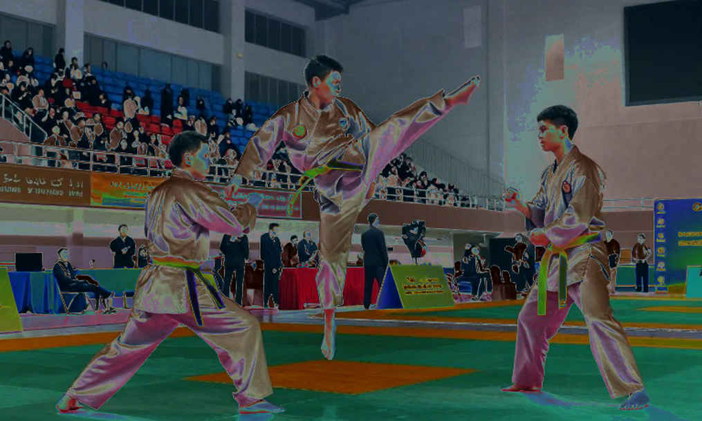 HCV ASIAD đầu tiên của Việt Nam: Khi kata Việt Nam chạm đỉnh châu Á trên đất Nhật