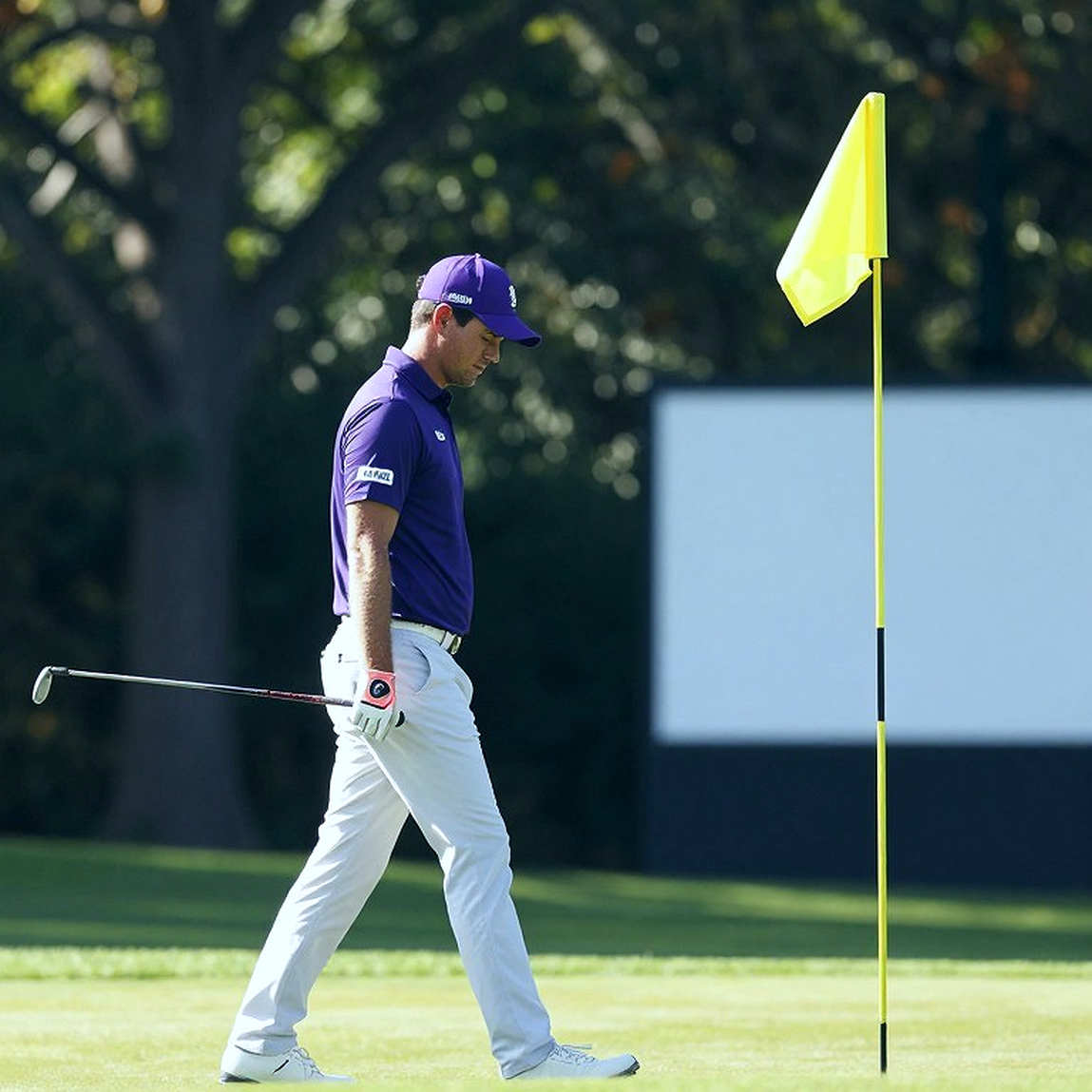 Bóng bay trúng chim giả trên sân golf: Vì sao cùng một cú đánh lại có nhiều đáp án